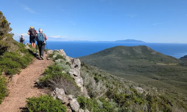 Persone in cammino su sentiero panoramico, godendosi le camminate organizzate in Toscana con vista sul mare e isole.