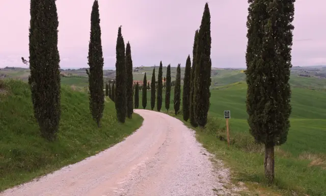 Strada dei cipressi in Val d'Orcia, un sentiero sterrato serpeggia tra dolci colline verdi, fiancheggiato da alti cipressi.