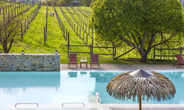 Piscina e vigneti in un agriturismo in Piemonte, ideale per un pranzo rilassante.