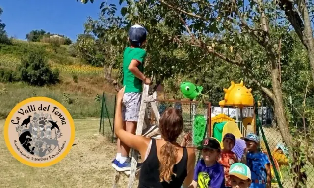 Bambini partecipano a un'attività fattoria didattica, raccogliendo frutti da un albero.