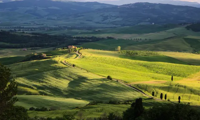 Dolci colline verdi del Val d'Orcia, con una strada tortuosa che porta a una casa colonica. Un paesaggio da sogno da esplorare.