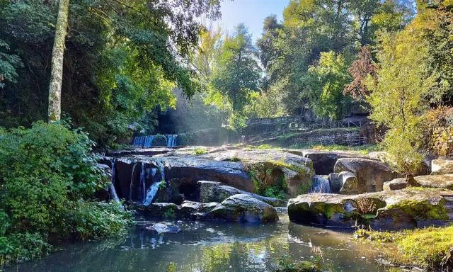 Cascata e rocce muschiose in un bosco lussureggiante, un angolo incantevole della Tuscia Viterbese baciato dal sole.