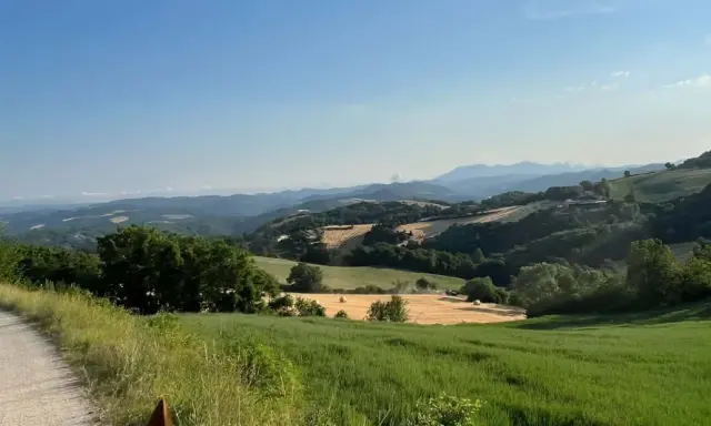 Due persone in sella a cavalli godono di splendide passeggiate a cavallo in Umbria, tra colline verdi e campi dorati.