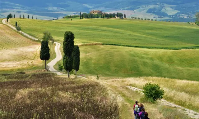 Un gruppo di escursionisti vive le **esperienze Val d'Orcia** su un sentiero tra colline verdi e cipressi, con una casa colonica in lontananza.