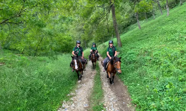 Tre persone fanno passeggiate a cavallo in un bosco verdeggiante in Piemonte.