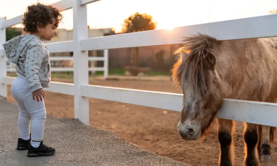 Bambina curiosa osserva un pony dietro una staccionata. Un'esperienza indimenticabile tra animali in Lombardia al tramonto.