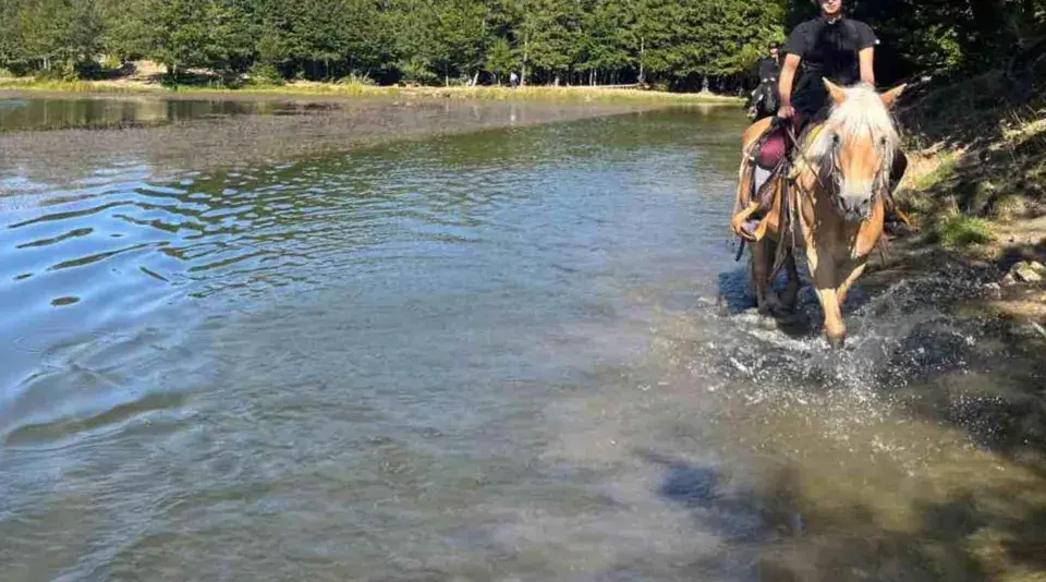 Cavalli che guadano un lago durante una passeggiata a cavallo a Reggio Emilia, con alberi sullo sfondo.
