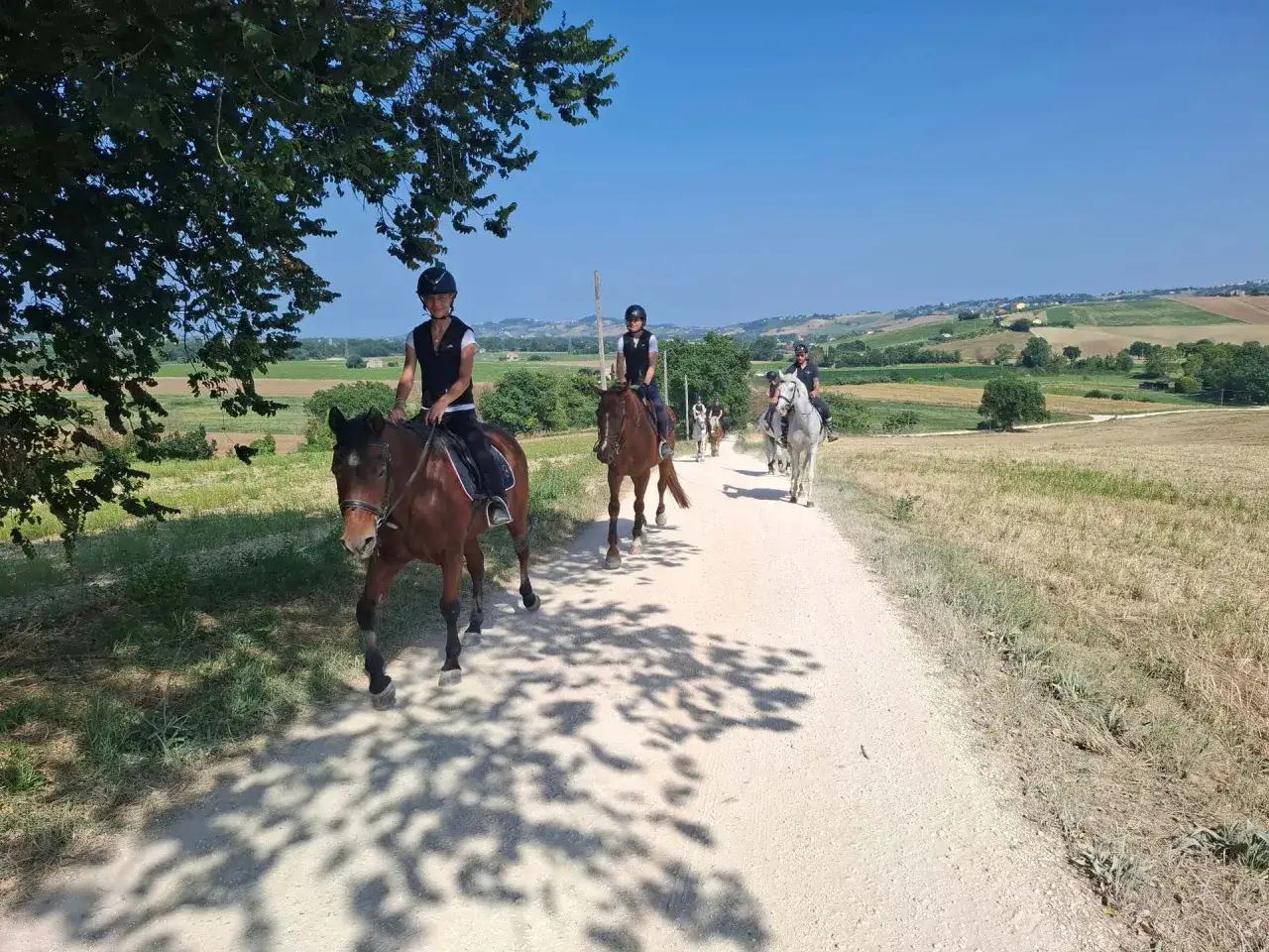 Un gruppo di cavalieri fa una passeggiata a cavallo nelle Marche, godendosi il sole e il paesaggio collinare.