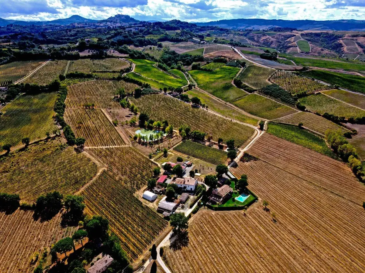 Vigneti ondulate e casali con piscina, ideali per vacanze enogastronomiche in Toscana.