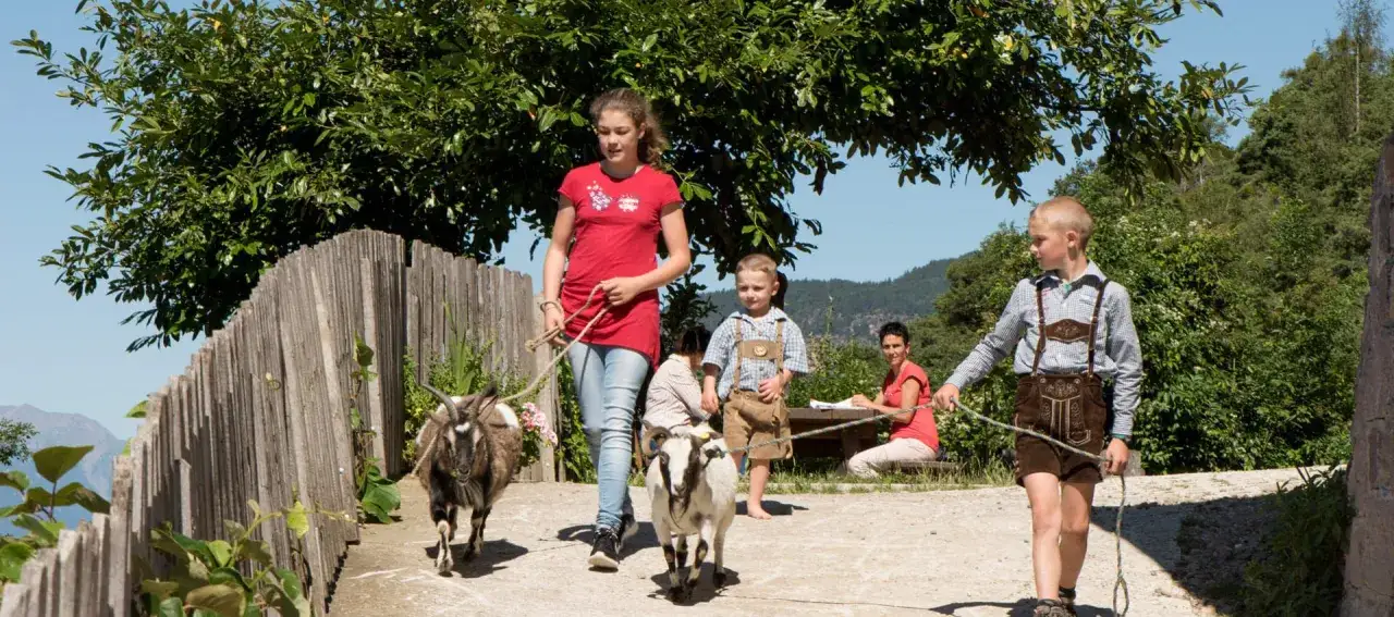 Bambini passeggiano con capre in un agriturismo in Trentino Alto Adige per famiglie.