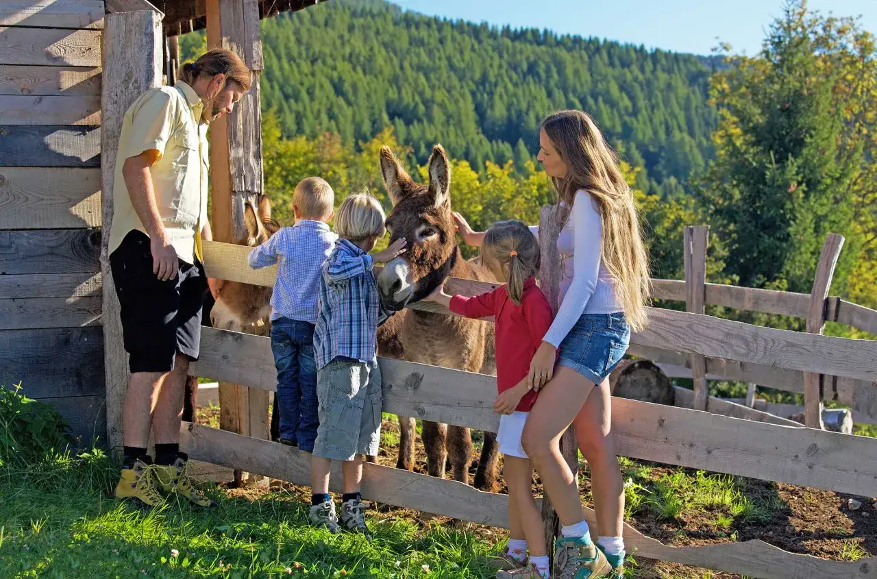 Famiglia felice in un'azienda agricola in Trentino con bambini in estate, accarezzano asini amichevoli.