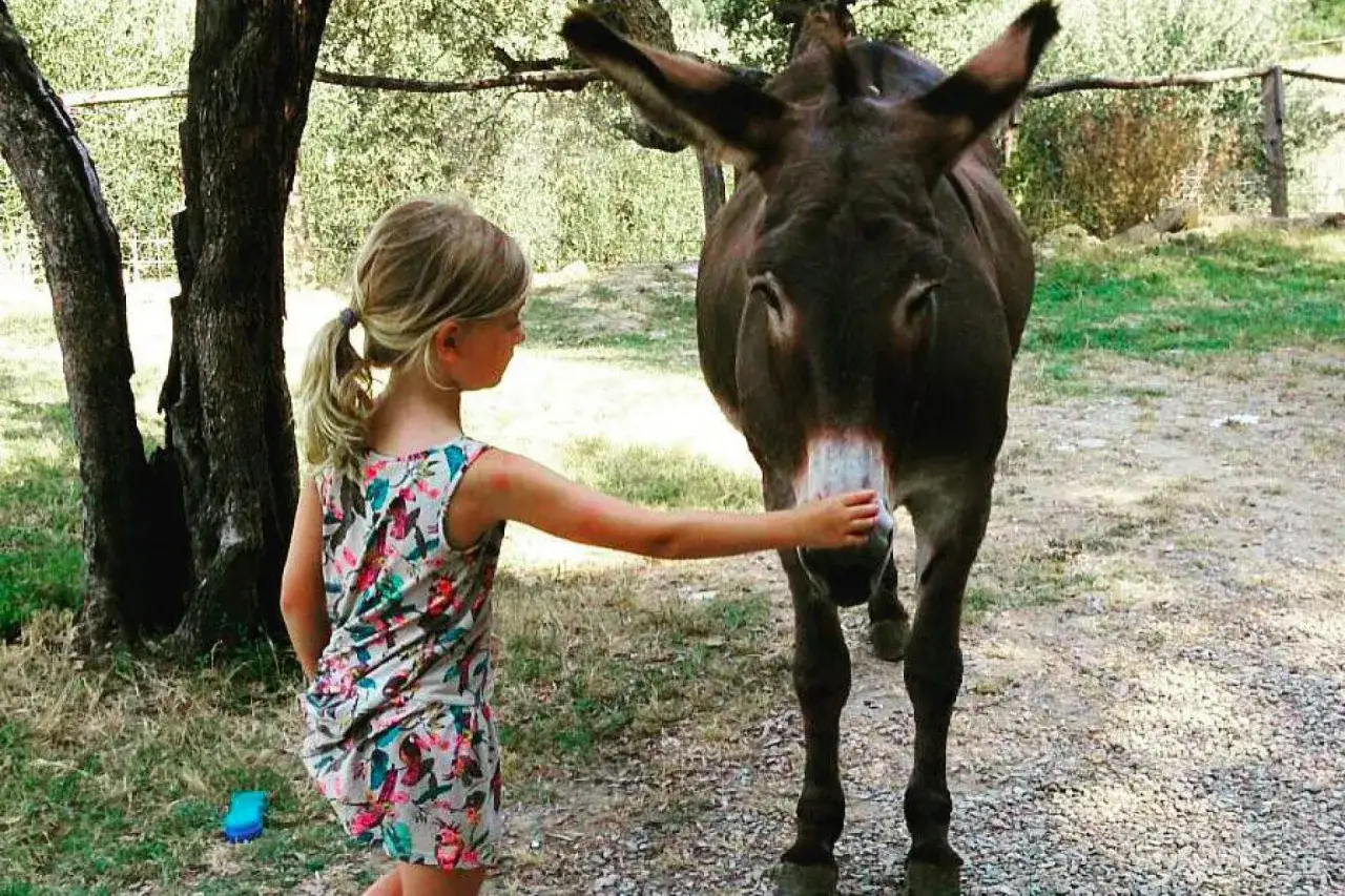 Bambina accarezza un asino in fattoria, un'esperienza indimenticabile per chi ama dormire in fattoria con bambini.
