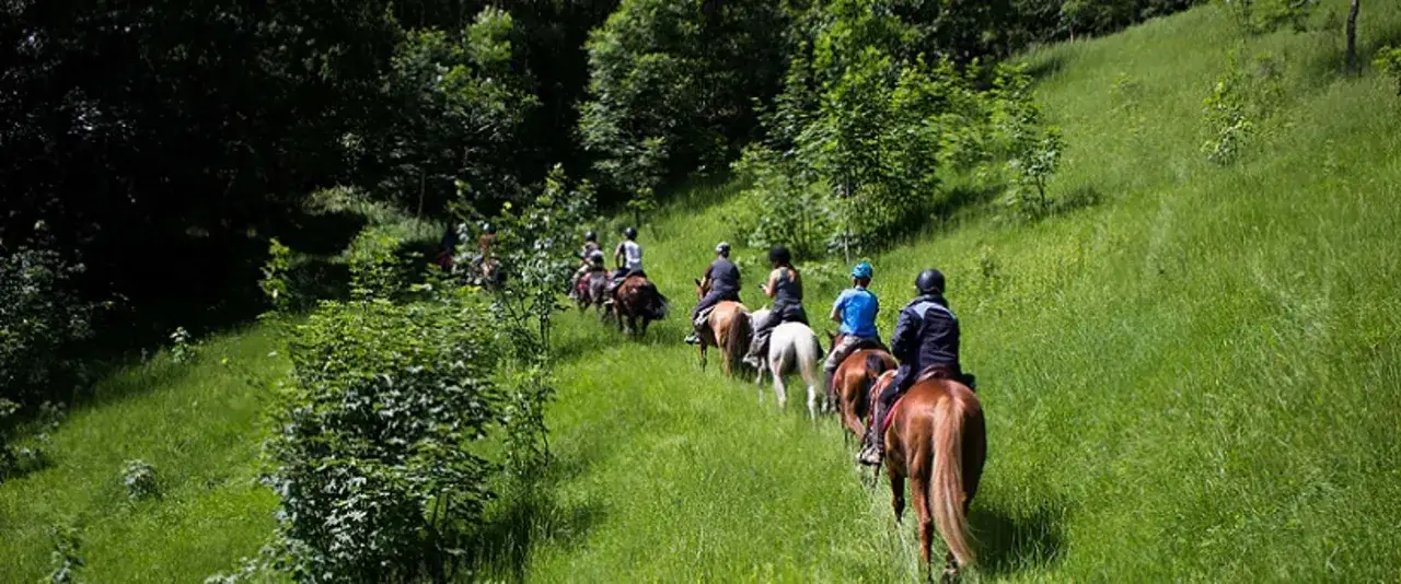 Una passeggiata a cavallo nel verde rigoglioso delle colline del Cuneese, tra alberi e prati fioriti.