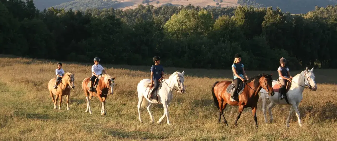Bambini e adulti cavalcano cavalli in un prato toscano al tramonto, con dolci colline sullo sfondo.