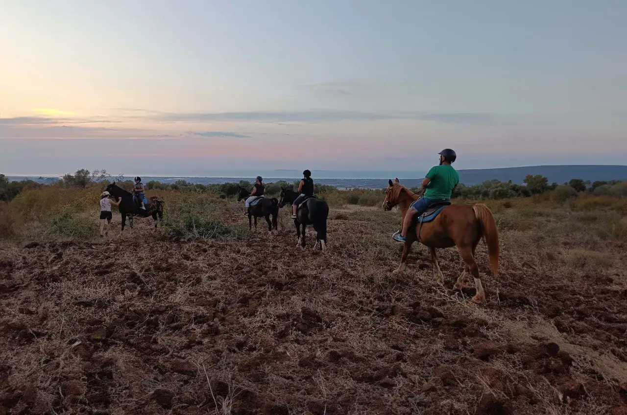 Un gruppo di persone fa una passeggiata a cavallo in Puglia al tramonto, con un cielo dai colori pastello e il mare all'orizzonte.
