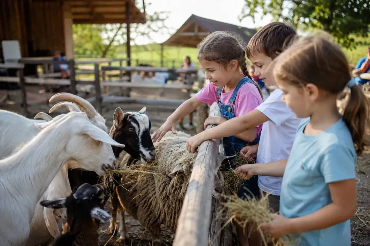 Bambini felici che danno da mangiare a capre e pecore in un agriturismo, un luogo ideale con animali per bambini.