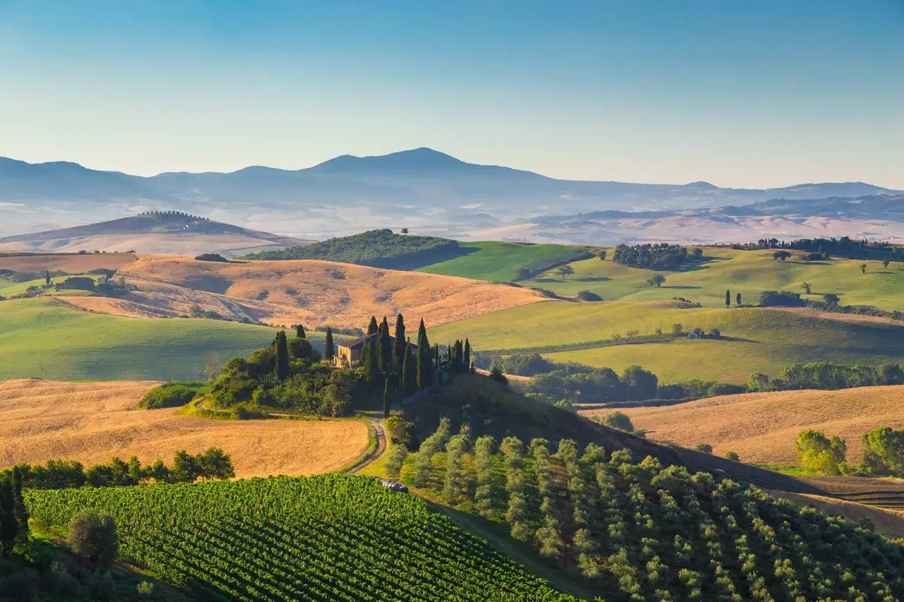 Dolci colline del Val d'Orcia in autunno, con vigneti verdi, campi dorati e una casa colonica circondata da cipressi.