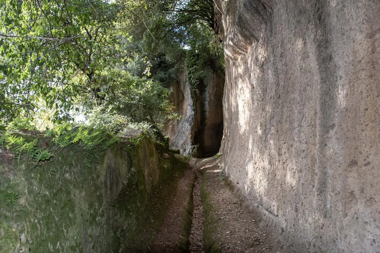 Sentiero scavato nella roccia, tra felci e alberi, che ricorda una piccola Gerusalemme.