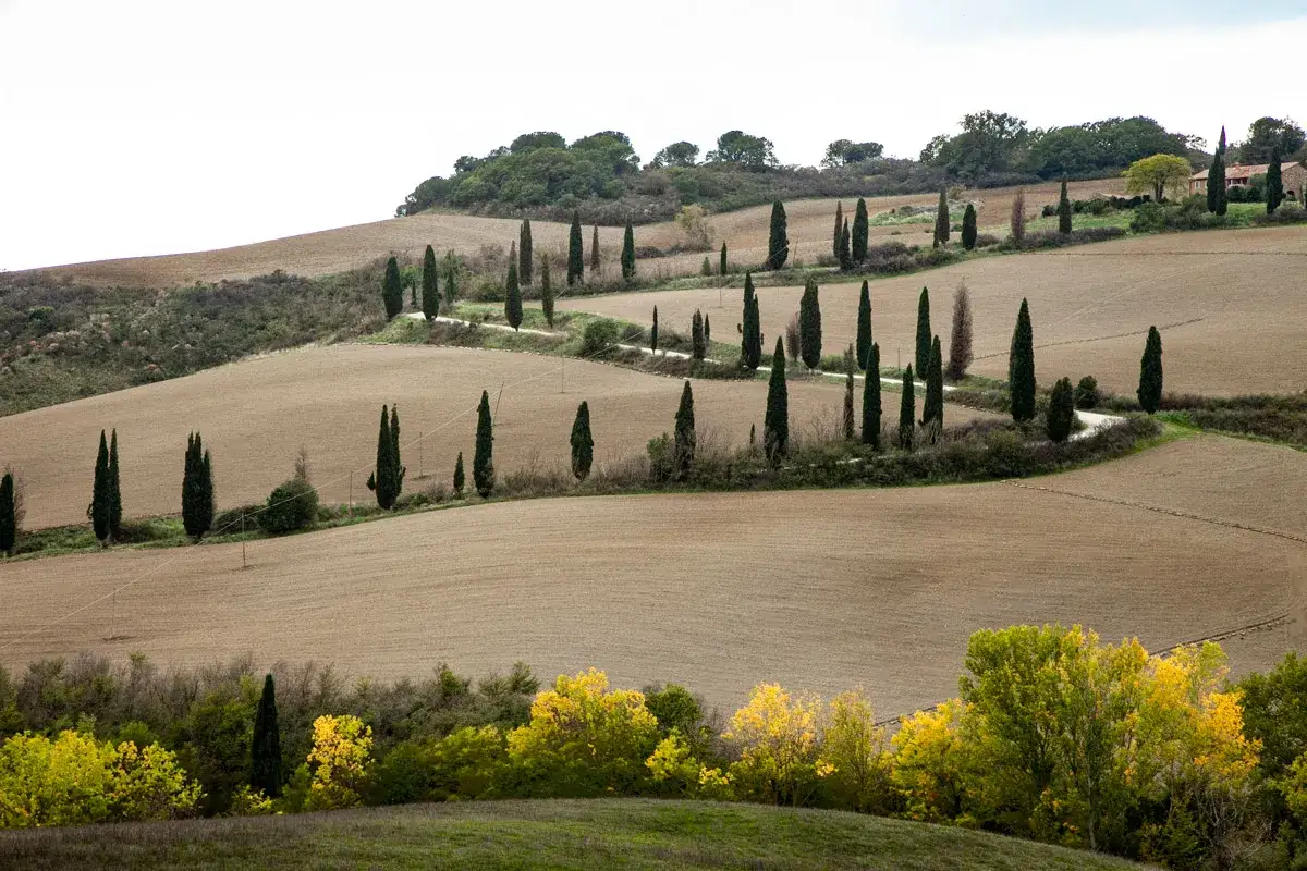 La strada dei cipressi in Val d'Orcia serpeggia tra dolci colline coltivate, un paesaggio iconico.