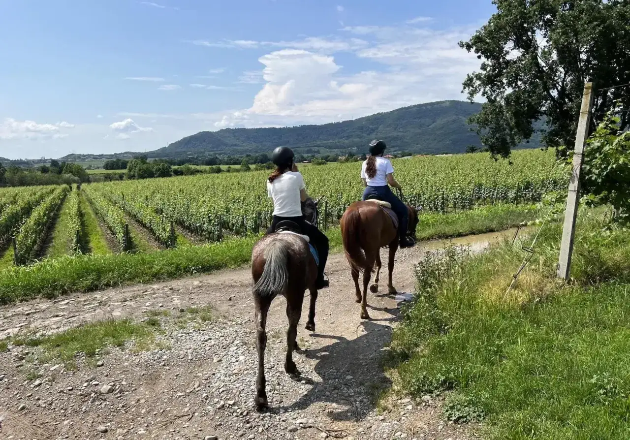 Gita a cavallo in Lombardia tra vigneti e colline. Due ragazze in sella godono del paesaggio.