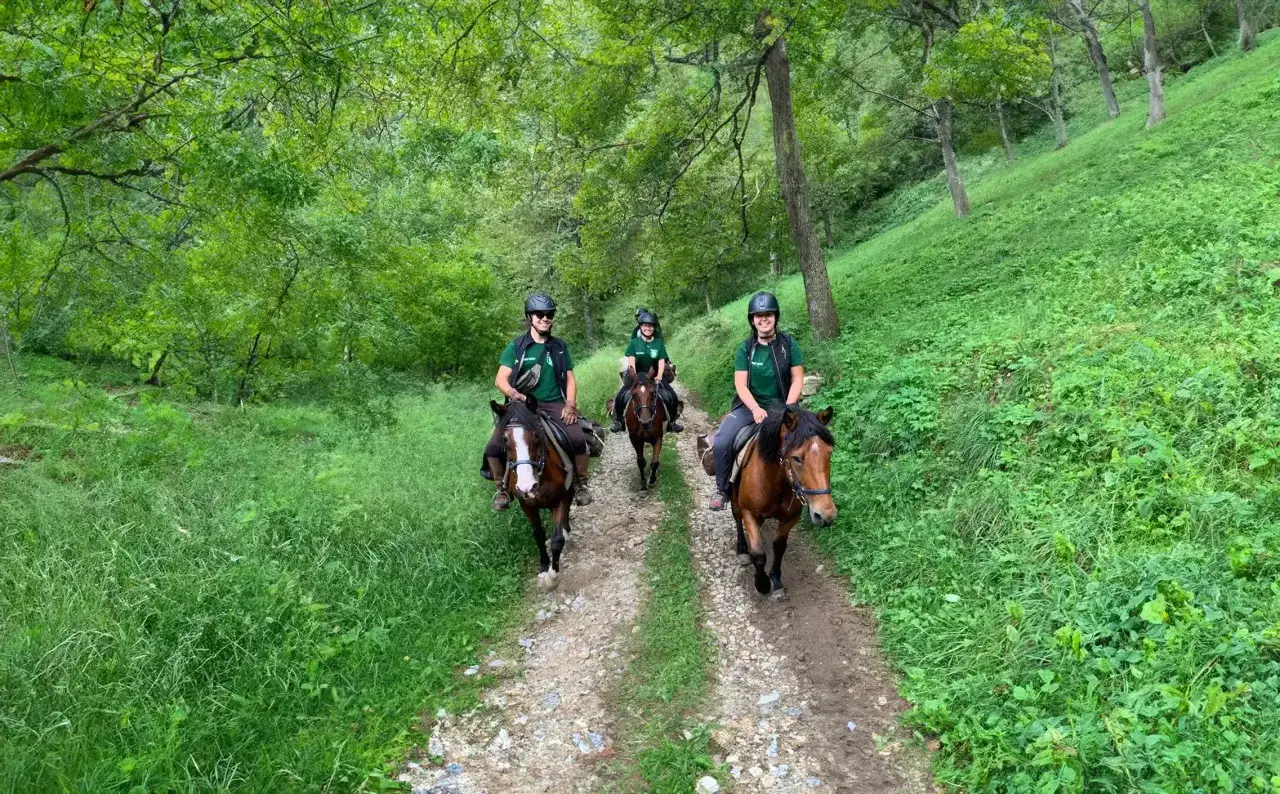 Persone in sella a cavalli durante passeggiate a cavallo in un bosco verdeggiante del Piemonte.