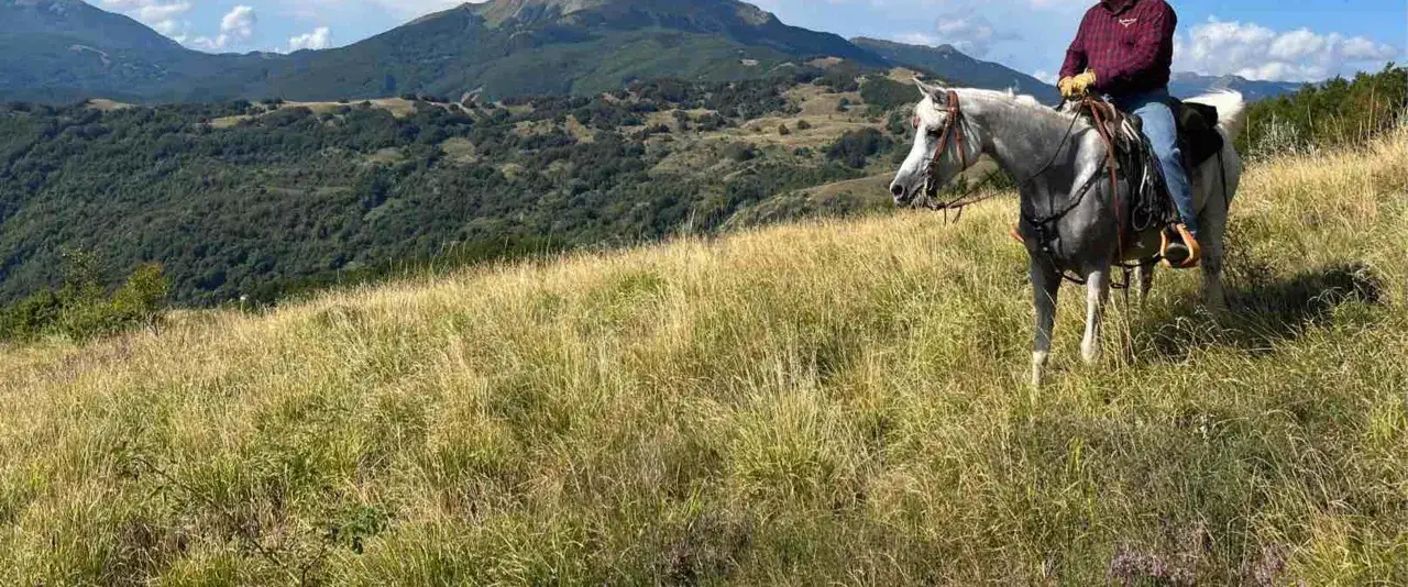 Cavallo grigio con cavaliere in un prato fiorito, con montagne sullo sfondo. Una splendida passeggiata a cavallo a Reggio Emilia.