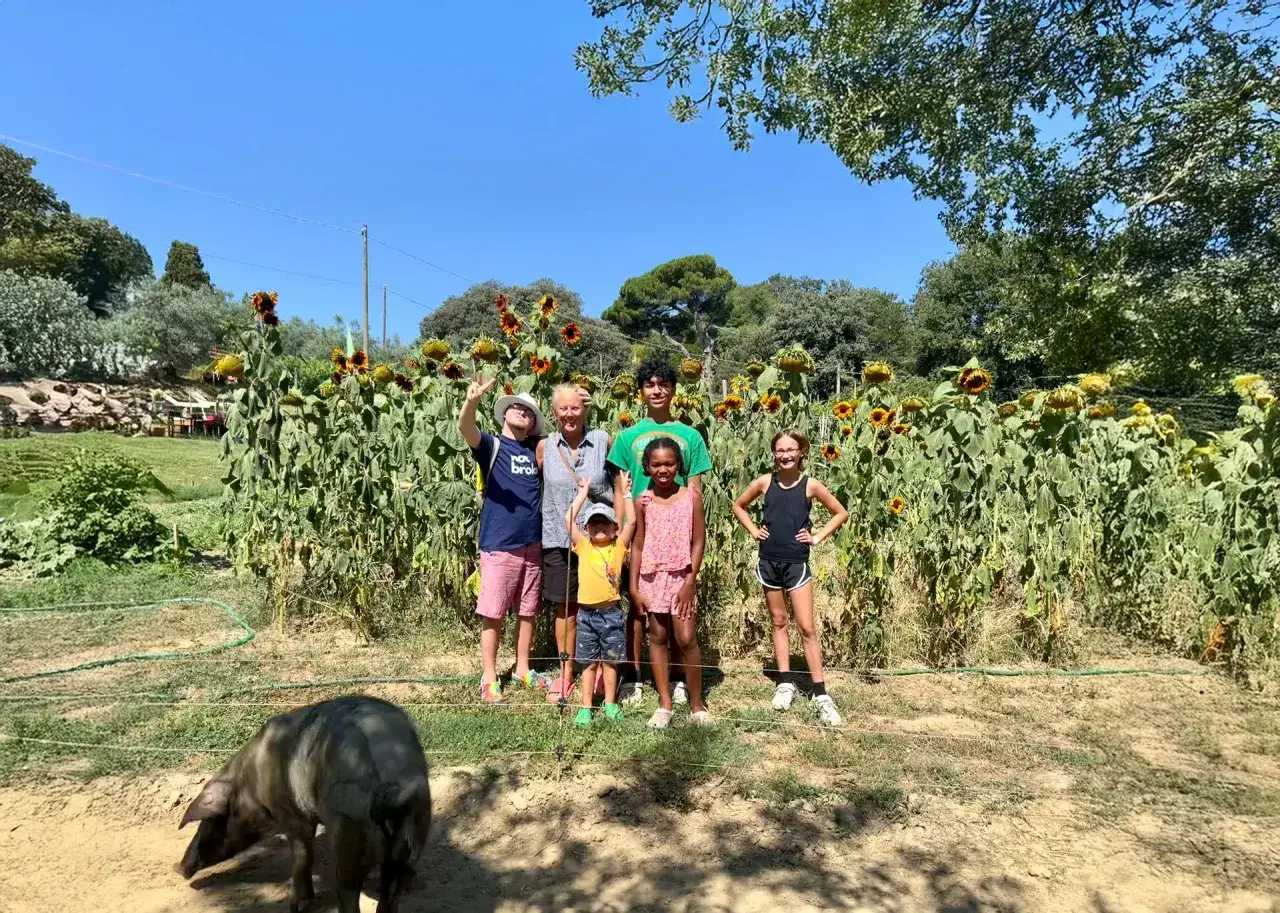 Famiglia felice tra girasoli giganti, con un maiale senese che passeggia in primo piano.