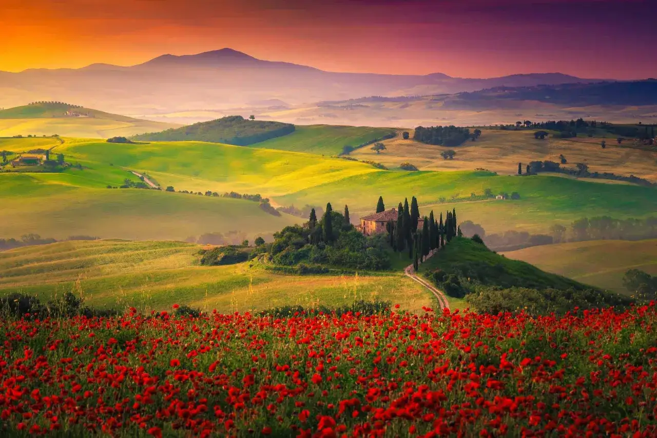 Campagna toscana con campo di papaveri rossi, casale e colline ondulate al tramonto. Pienza cosa vedere: un sogno.