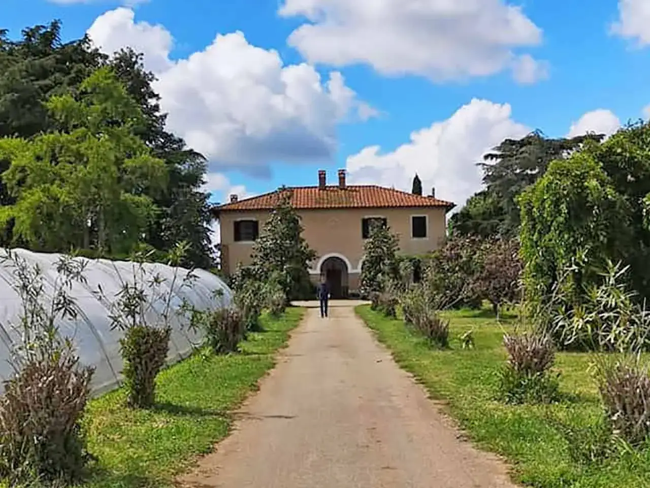 Un sentiero conduce a una casa con tetto rosso, circondata da alberi e un tunnel di plastica. Un luogo ideale per un agricampeggio nel Lazio.