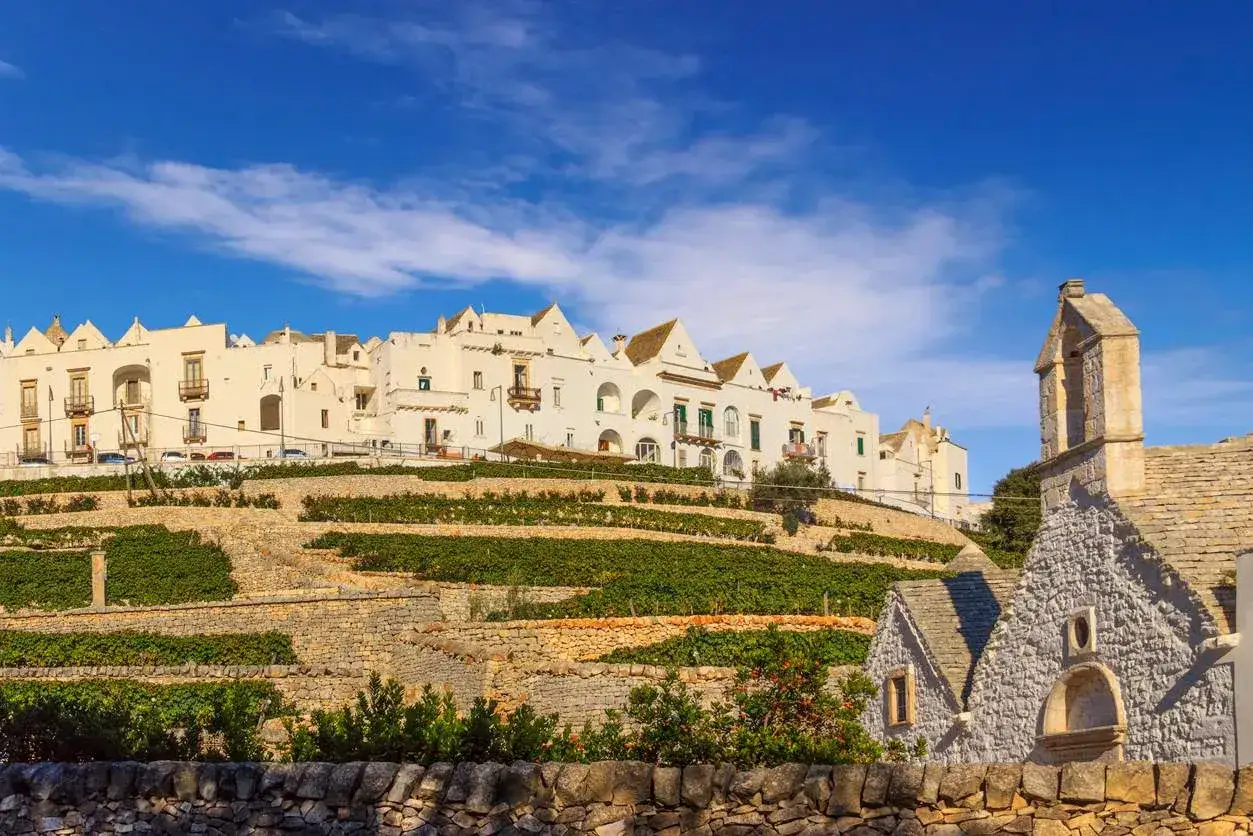 Paesaggio pugliese con casette bianche e vigneti terrazzati. Un luogo incantevole da scoprire, tra le tante cose da visitare vicino Alberobello.