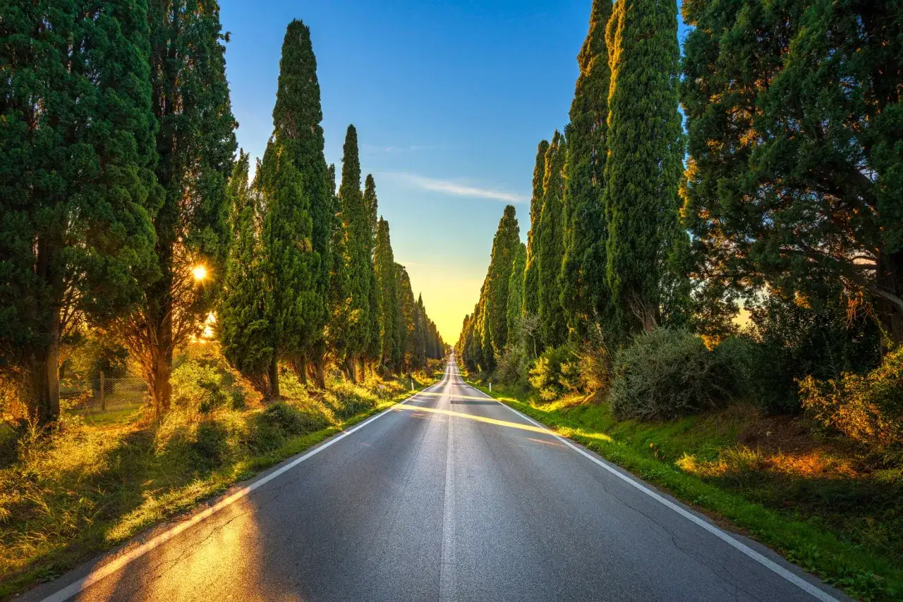 Un suggestivo viale di cipressi in Toscana, illuminato dalla luce dorata del tramonto, invita a un viaggio senza fine.