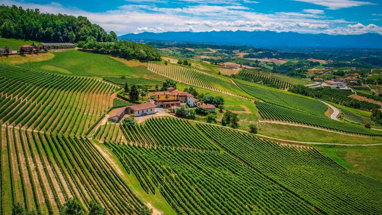 Colline verdi delle Langhe, con vigneti ordinati che invitano a una degustazione vini. Un casale in pietra e un cielo azzurro completano il paesaggio.