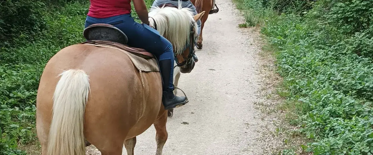 Cavalcata nella natura umbra, tra sentieri verdi e aria fresca. Esperienza indimenticabile di passeggiate a cavallo in Umbria.