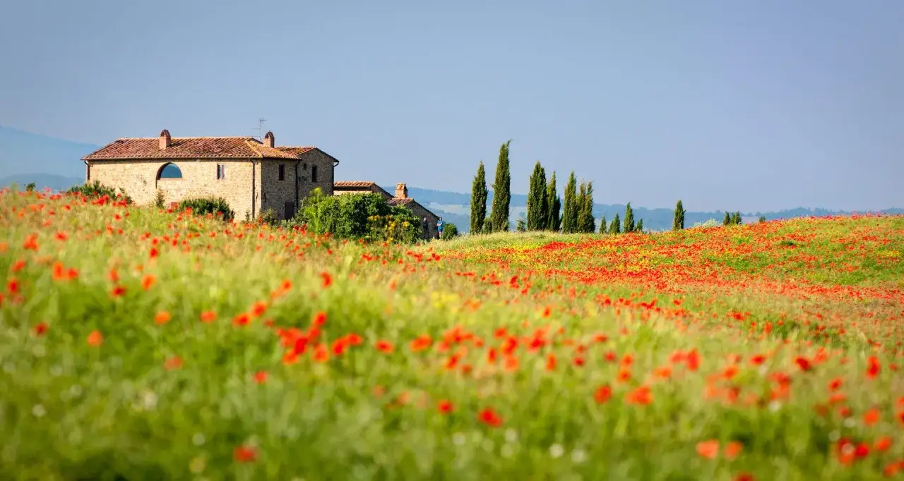 Un campo di papaveri rossi e gialli fiorisce davanti a una casa in pietra e cipressi. Un'idea su cosa fare in campagna: godersi la natura.