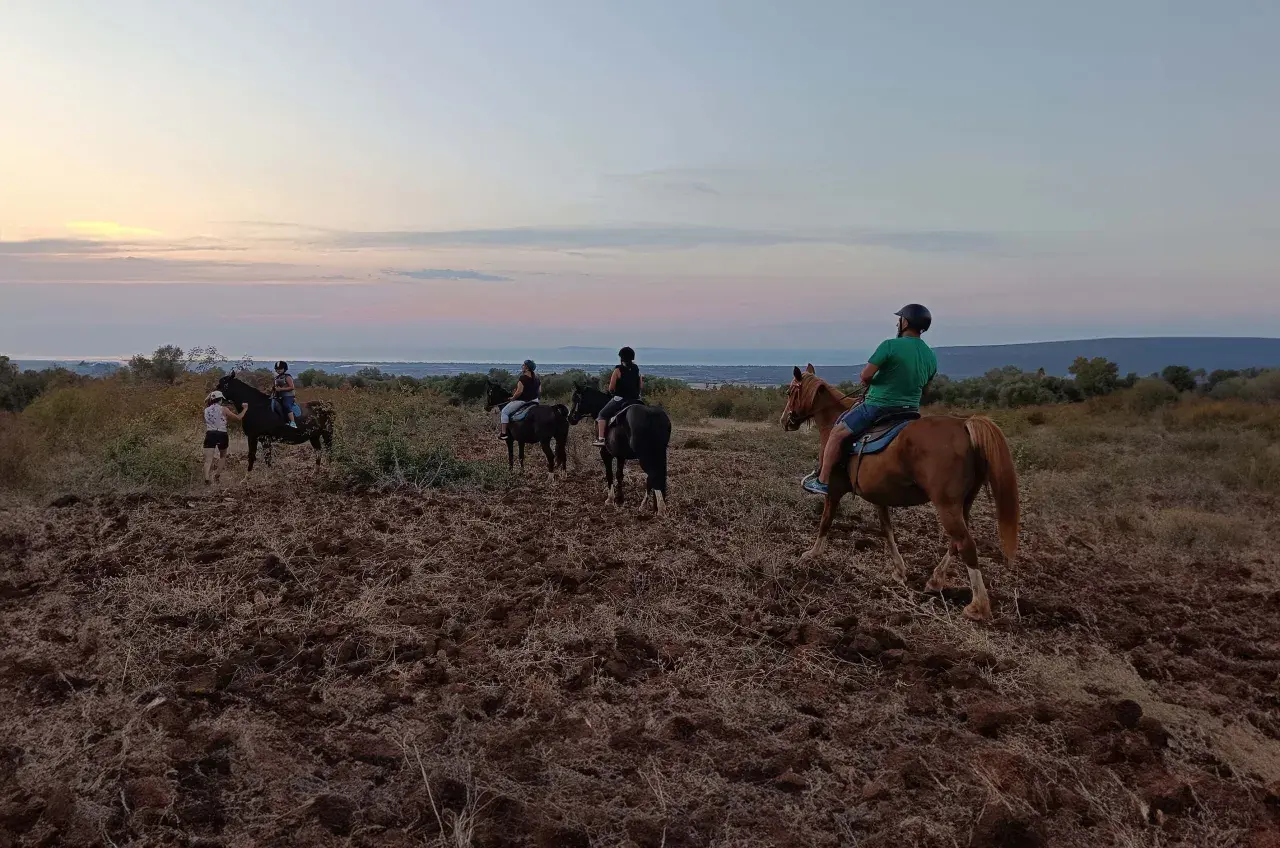 Un gruppo di persone fa una passeggiata a cavallo in Puglia al tramonto, con un cielo dai colori pastello e il mare all'orizzonte.