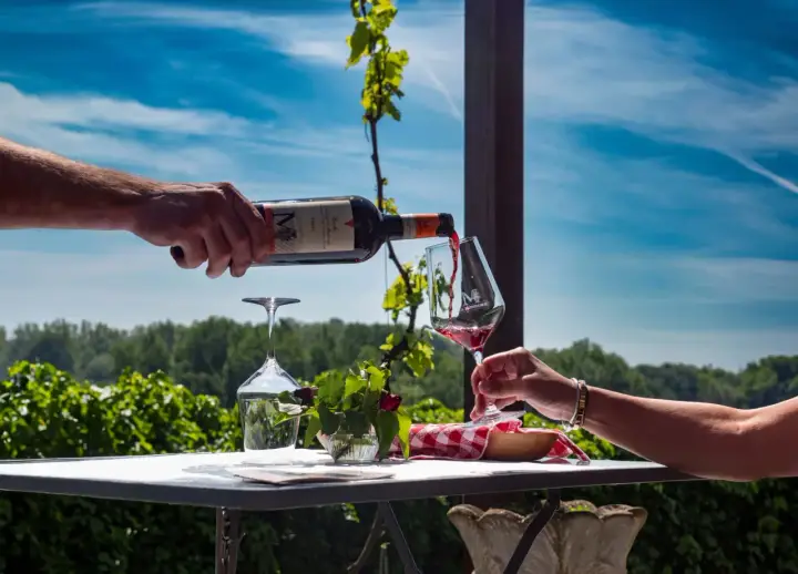 Un bicchiere di vino rosso viene versato da una bottiglia, con un vigneto sullo sfondo. Un'esperienza di degustazione vini Piemonte.