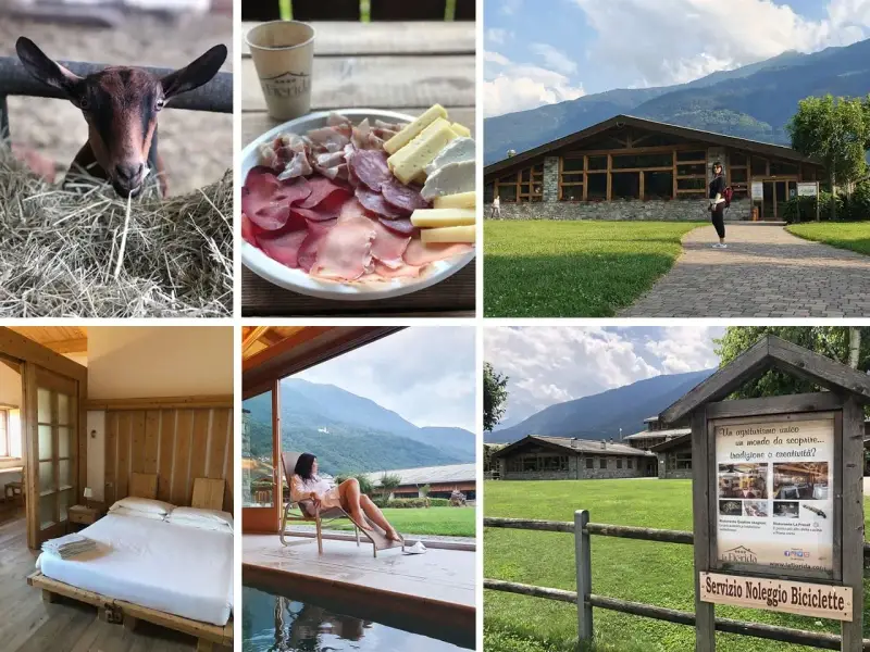 Un agriturismo in montagna in estate: capretta curiosa, tagliere di salumi e formaggi, un edificio moderno, una camera accogliente e una donna rilassata con vista panoramica.